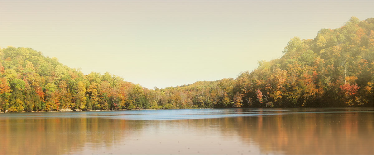 Banner image of Syracuse